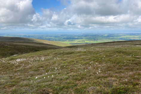 Bowland Fells